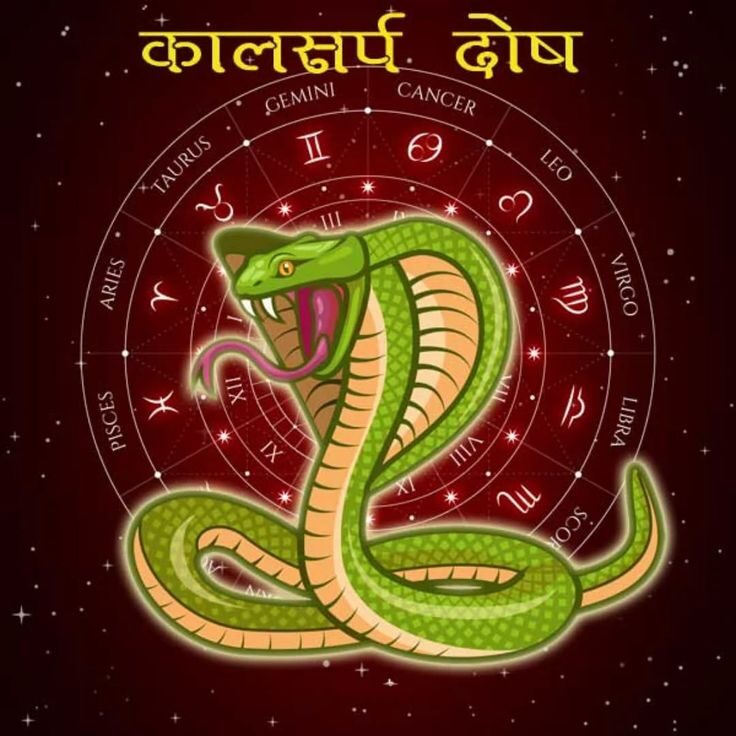 कालसर्प पूजा दृश्य